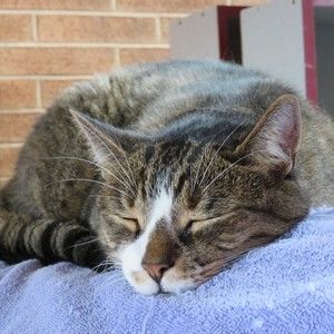 Meet your Posher, Sue